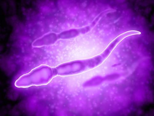 巨型精子电影在线观看,一场惊心动魄的奇幻之旅